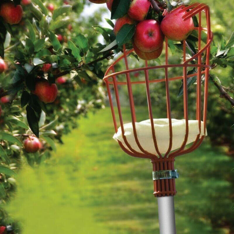 Gardening Tools Basket - Fruit Picker Head Metal Deep Basket