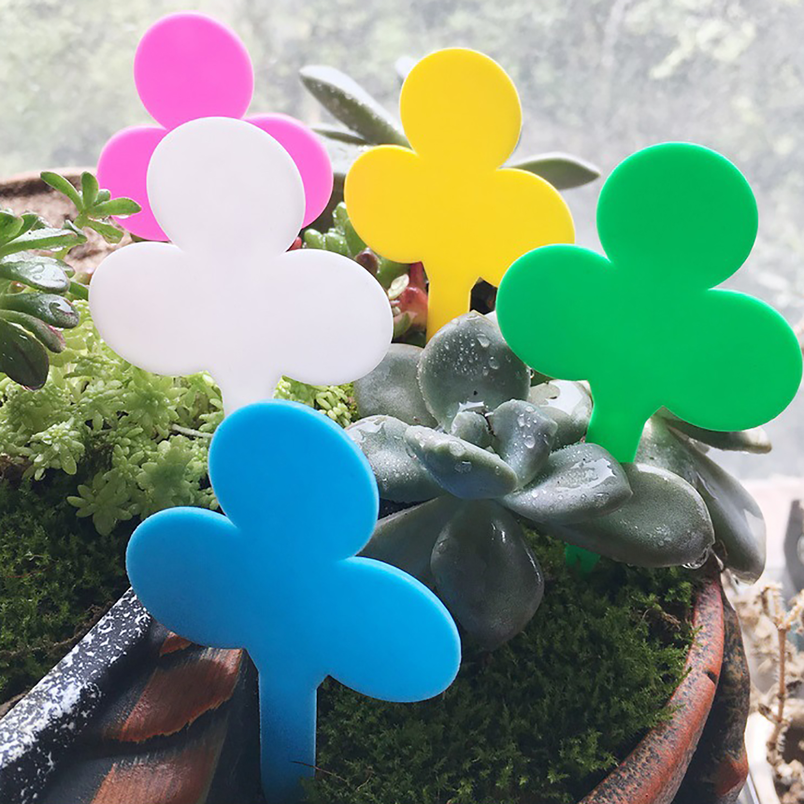 Plant Label Tags - 50/100Pcs Plant Labels Garden Plants Classification