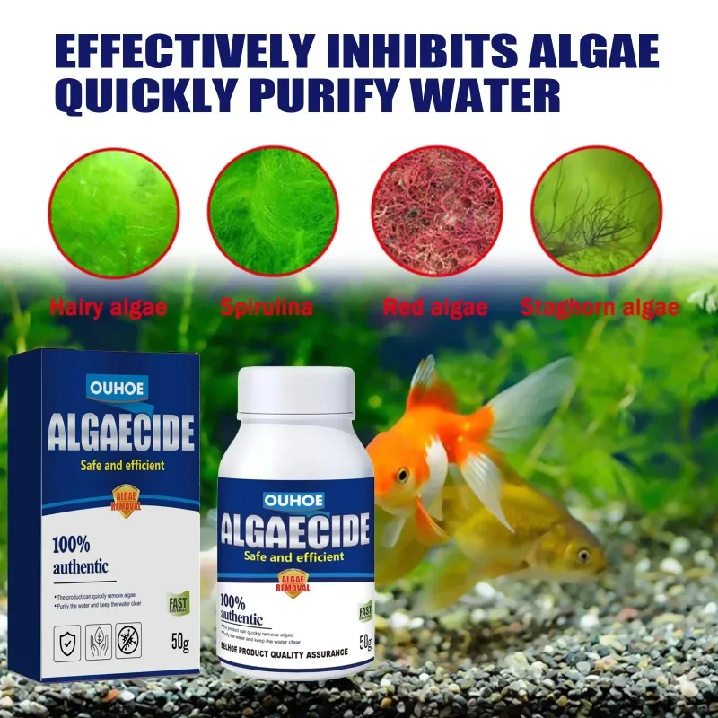 50g High Efficiency Algaecide  - مراجعة Aquaponics Fish Tank وسعره