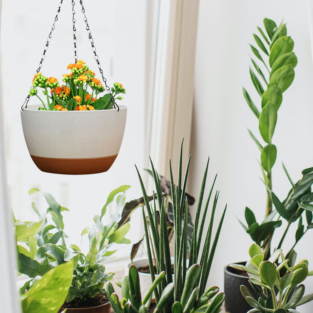 2 Sets Hanging Plant Pot Baske - مراجعة Gardening Tools Basket وسعره
