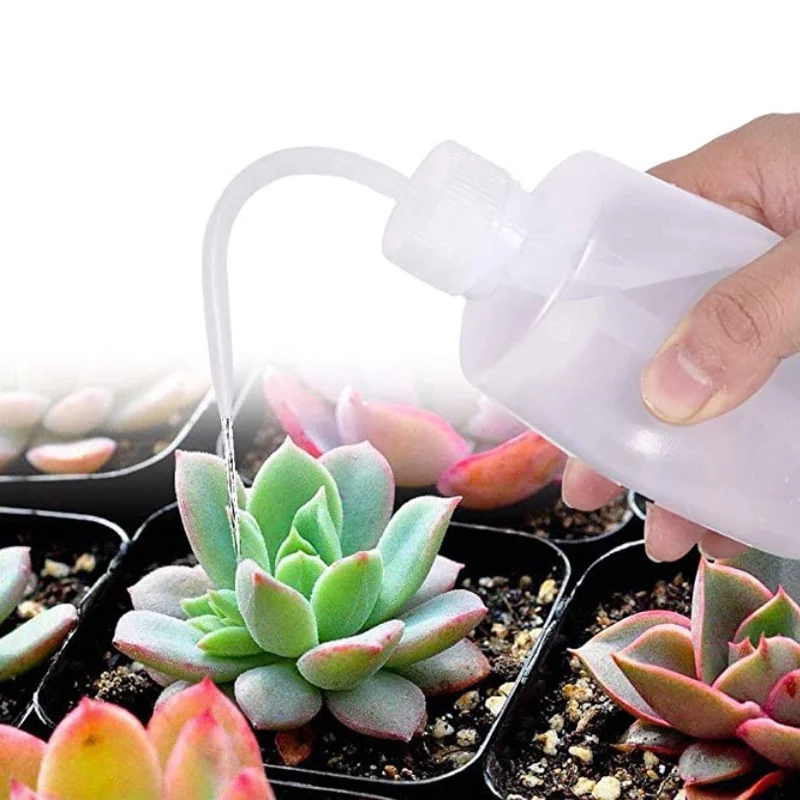 13Pcs Garden Planter Kit DIY S - مراجعة Gardening Tool Diy وسعره