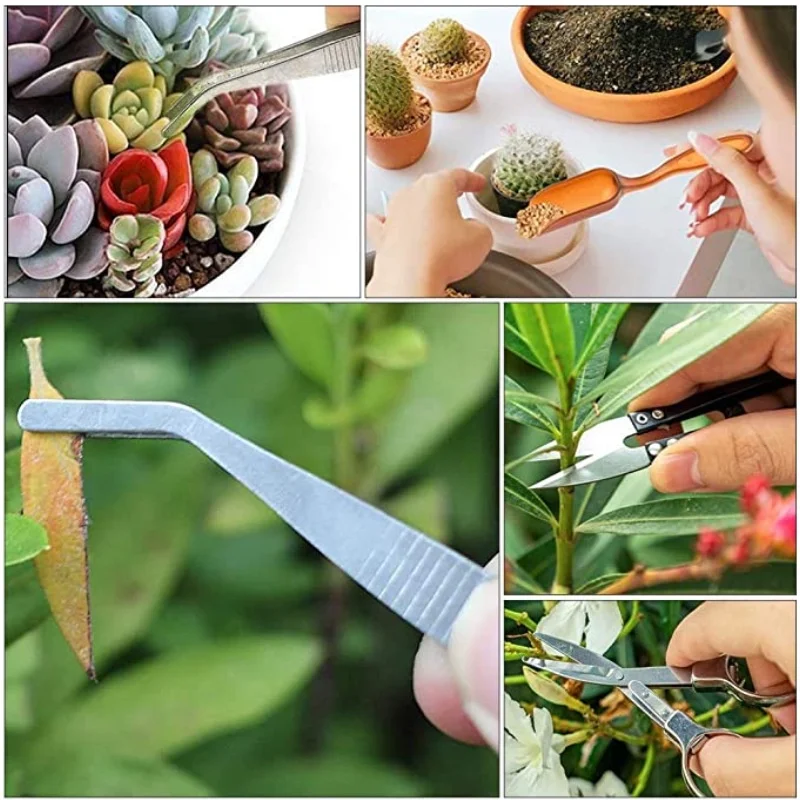 13Pcs Garden Planter Kit DIY S - مراجعة Gardening Tool Diy وسعره