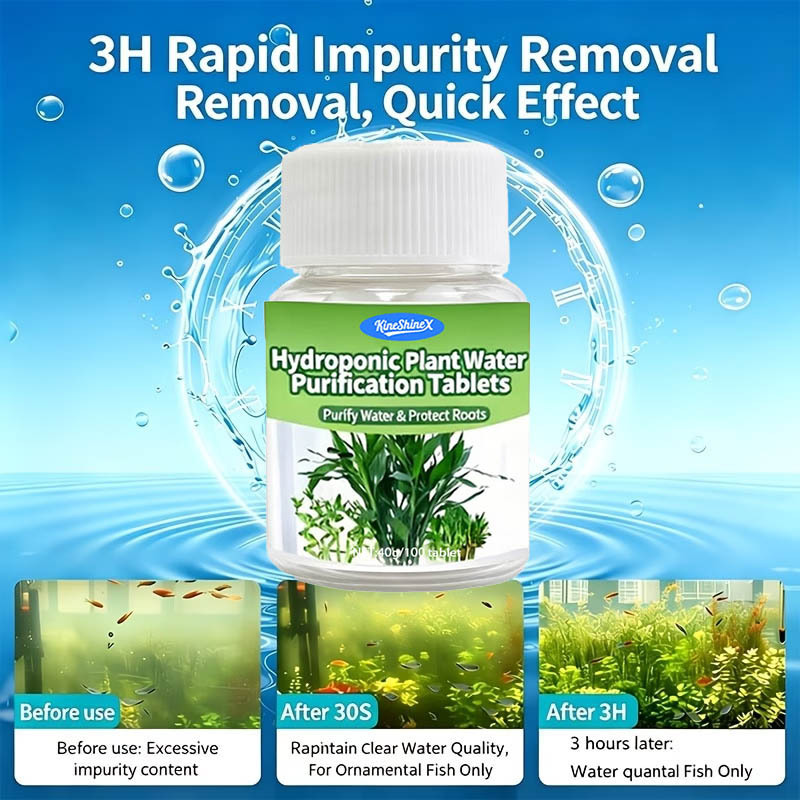 Hydroponic Water Purification  - مراجعة Aquaponics Fish Tank وسعره