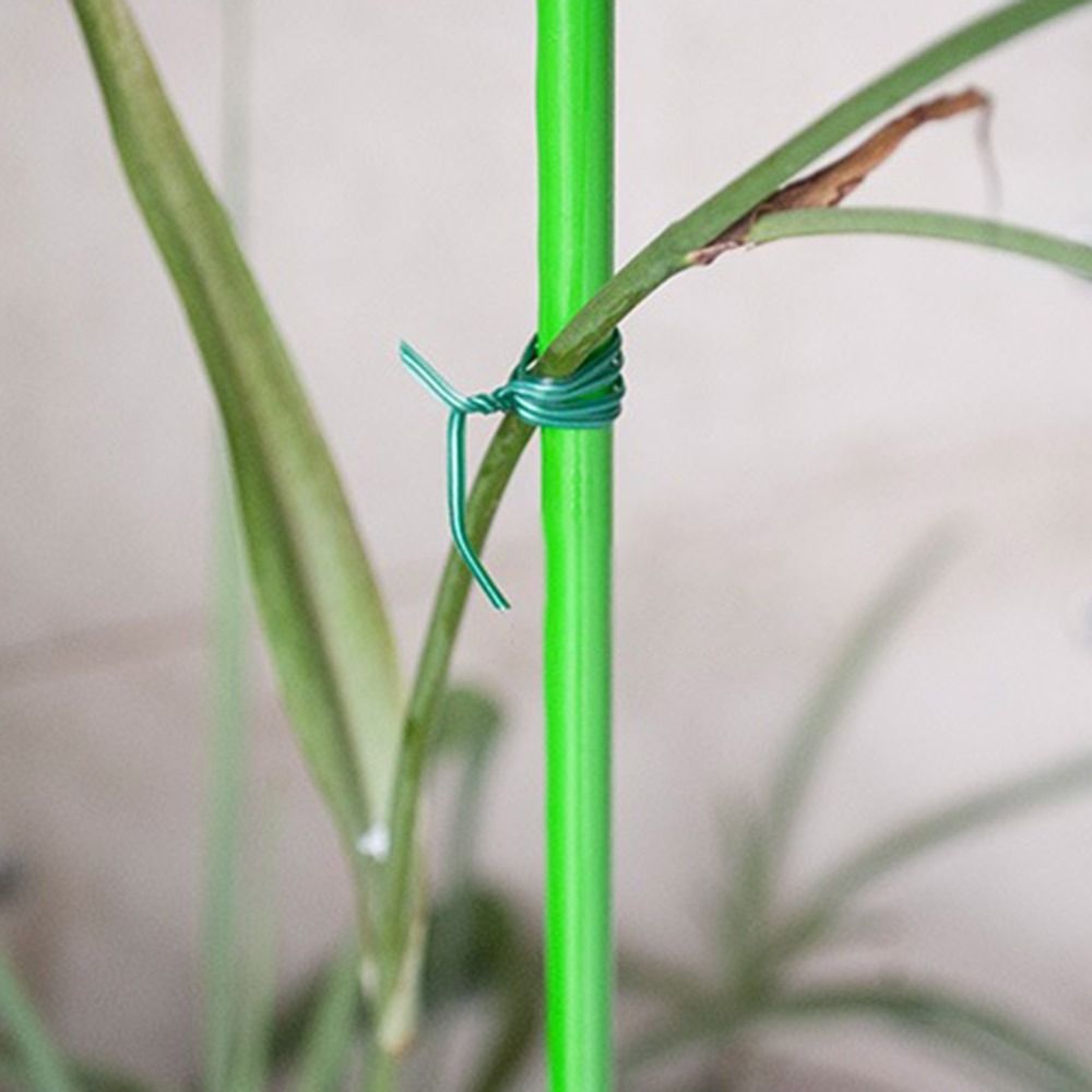 20/50/100m Garden Cable Ties P - مراجعة Garden Wire Twist Tie وسعره