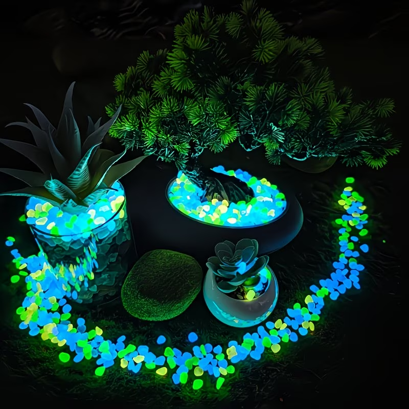 300PCS Luminous Pebble Set,0.9 - مراجعة Aquaponics Fish Tank وسعره