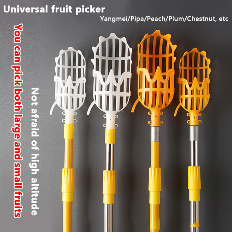 Picking Loquat Picking Bayberr - مراجعة Gardening Tools Basket وسعره