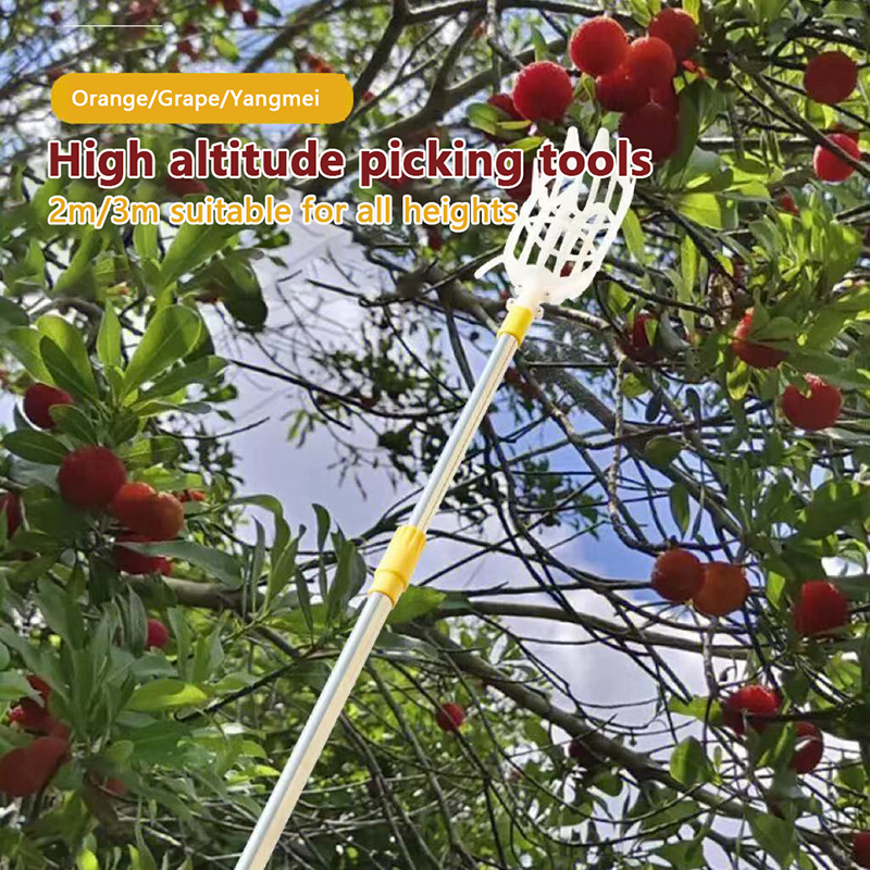 Picking Loquat Picking Bayberr - مراجعة Gardening Tools Basket وسعره