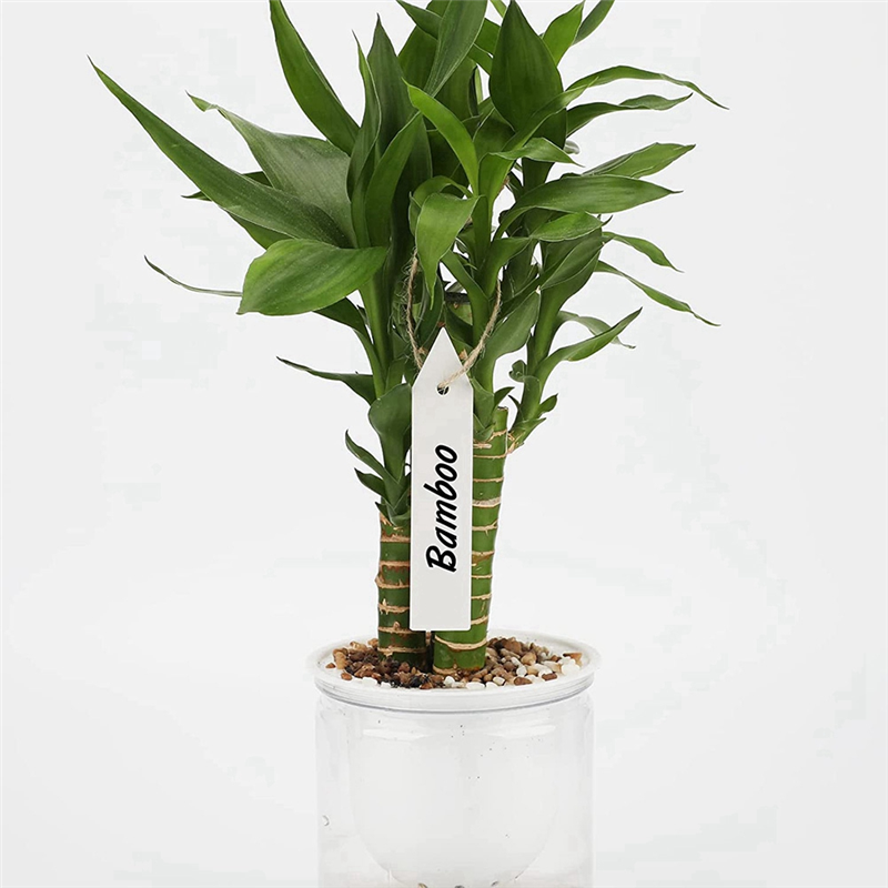 A71Z 200 Pcs Plastic Plant Nur - مراجعة Plant Label Tags وسعره