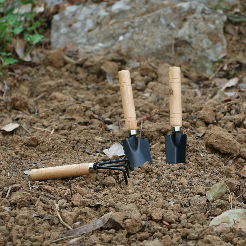 3Pcs/Set Mini Garden Tool Set  - مراجعة Gardening Tools For Digging وسعره