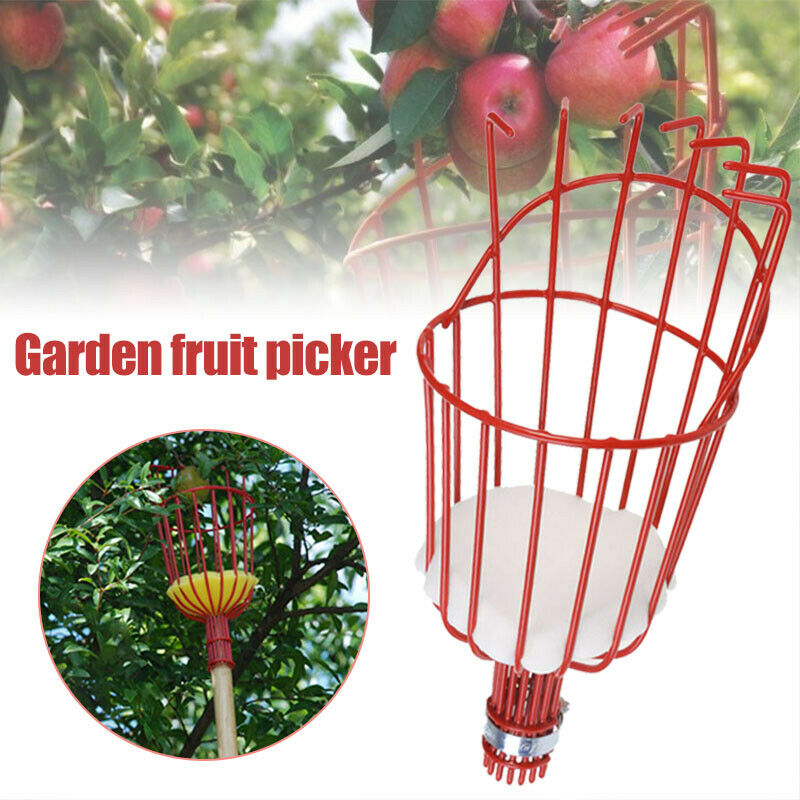Fruit Picker Head Metal Deep B - مراجعة Gardening Tools Basket وسعره