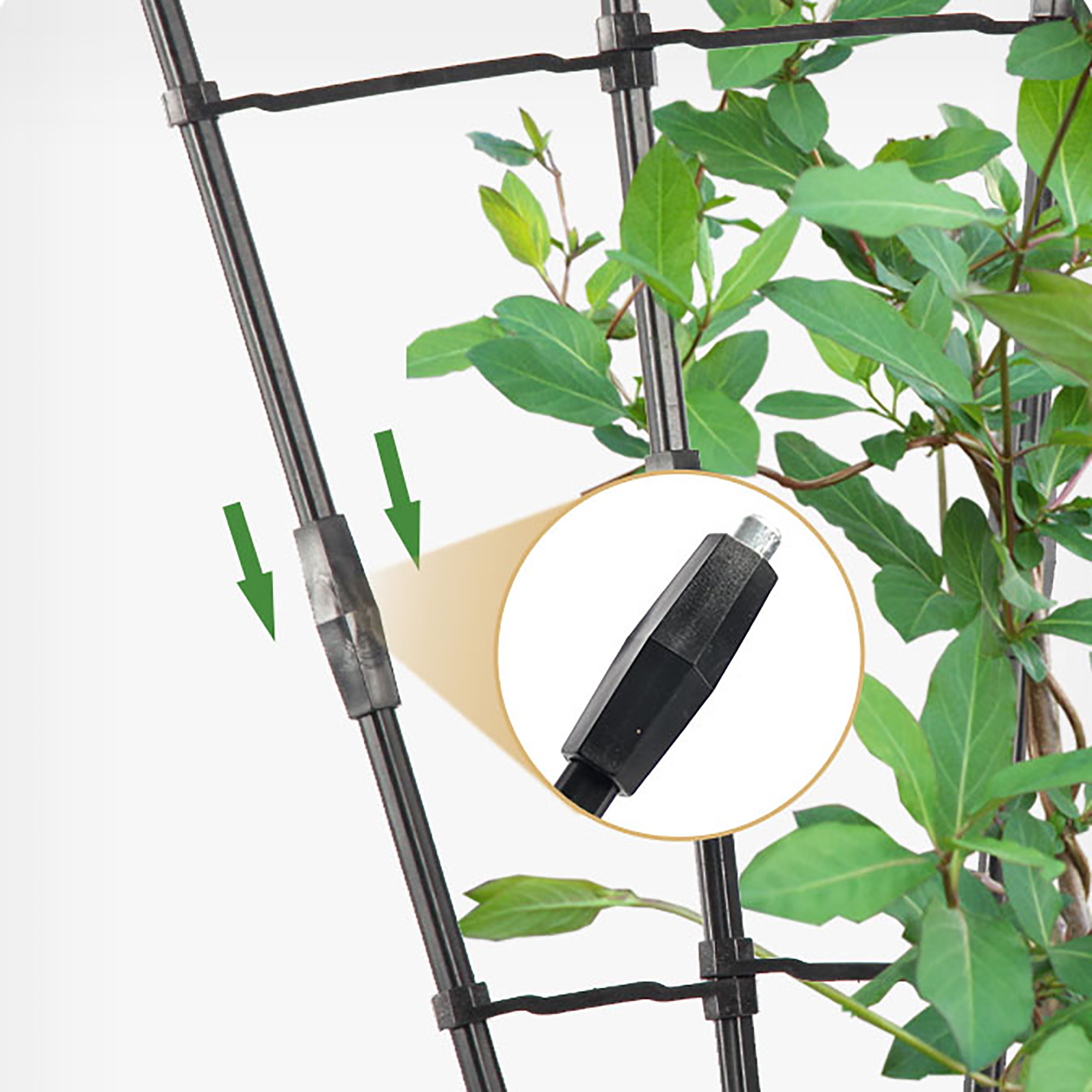 120Cm Plant Trellis Rustproof  - مراجعة Gardening Tool Diy وسعره