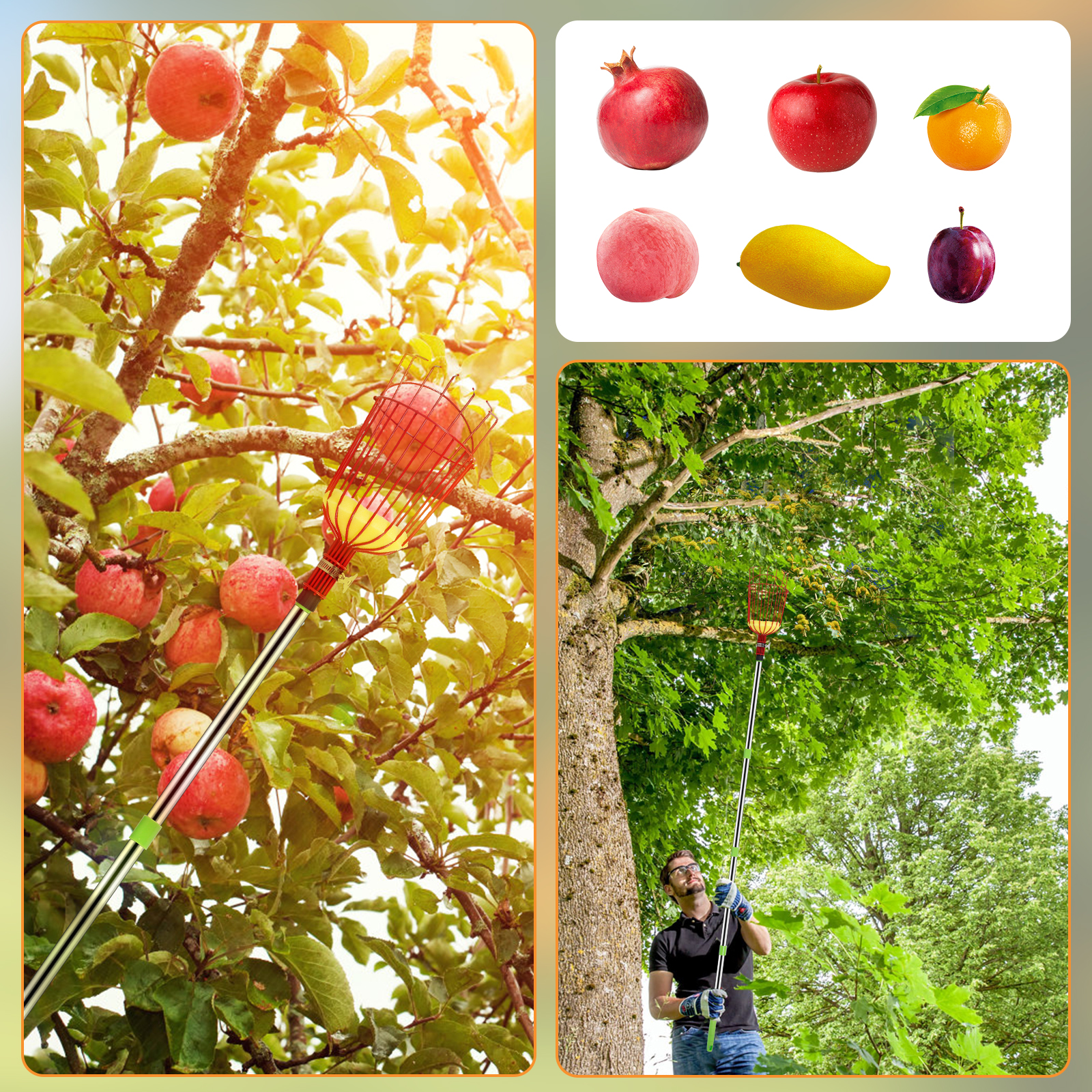 Deep Basket Fruit Picker Catch - مراجعة Gardening Tools Basket وسعره