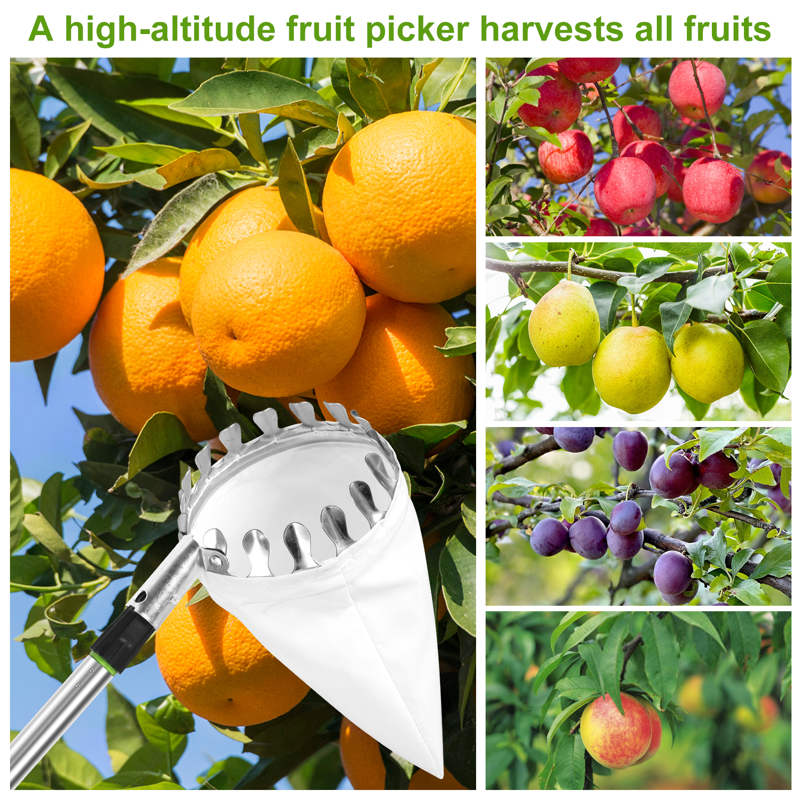 Deep Basket Fruit Picker Catch - مراجعة Gardening Tools Basket وسعره