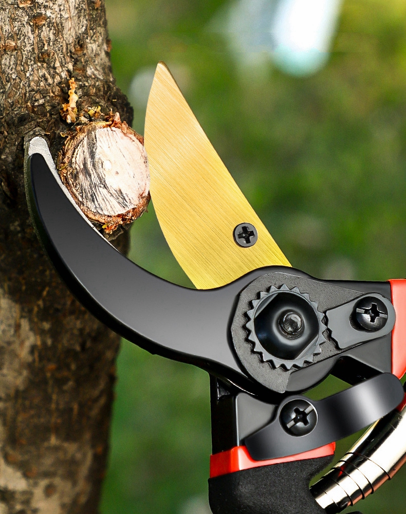 Labor-Saving Gardening Pruning - مراجعة Garden Hand Trowel وسعره