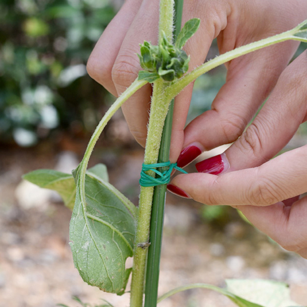 Multifunctional Garden Twist T - مراجعة Garden Wire Twist Tie وسعره