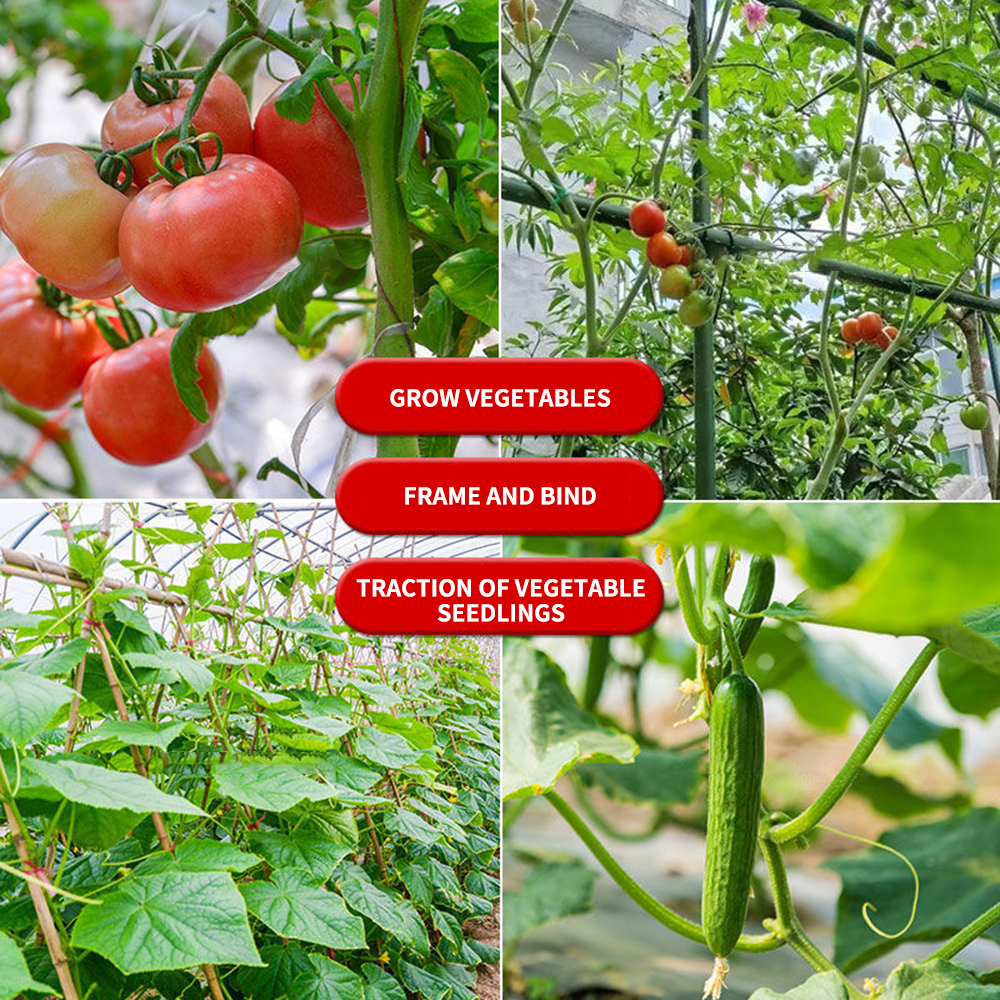 Multifunctional Garden Twist T - مراجعة Garden Wire Twist Tie وسعره