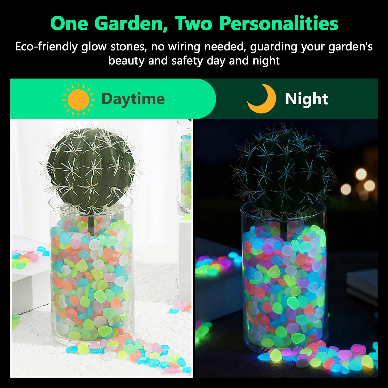 Potted Plants Glow In The Dark - مراجعة Aquaponics Fish Tank وسعره
