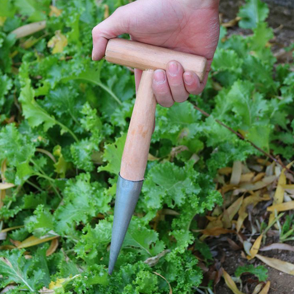 Hand Dibber Garden Tool Stainl - مراجعة Gardening Tools For Digging وسعره