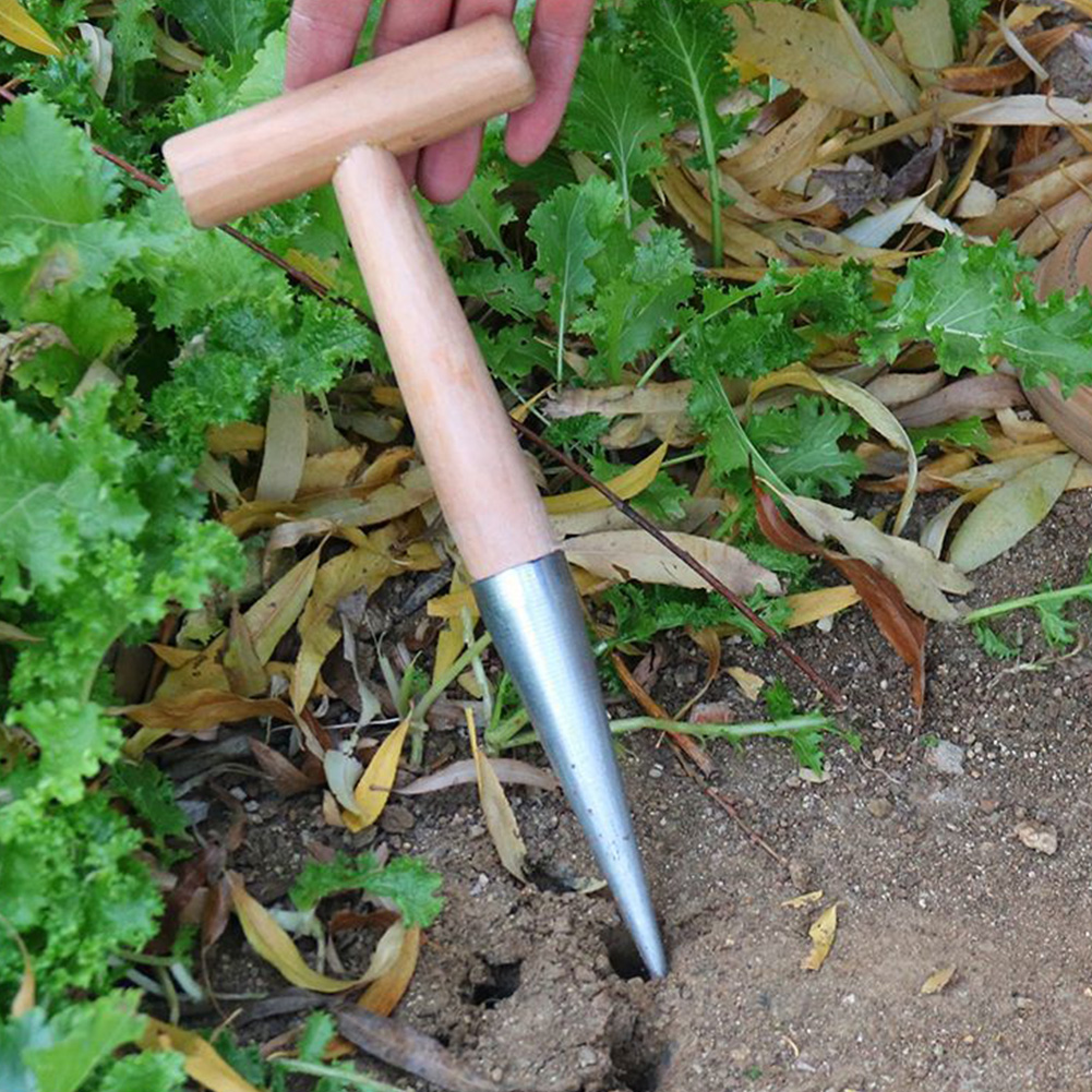 Hand Dibber Garden Tool Stainl - مراجعة Gardening Tools For Digging وسعره