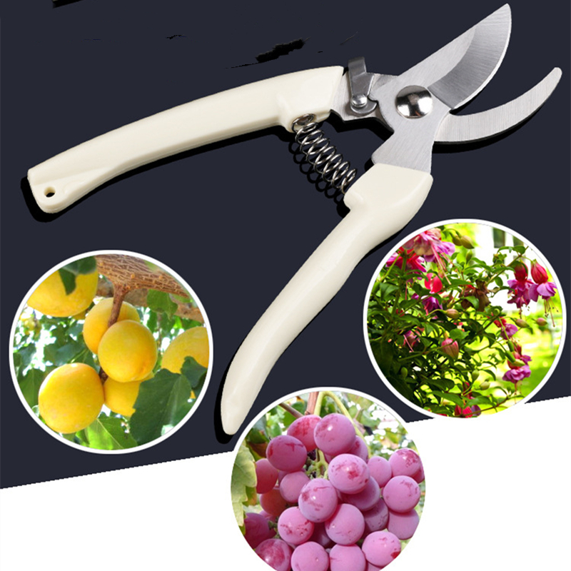 Pruner Orchard and The Garden  - مراجعة Gardening Tools Hand وسعره