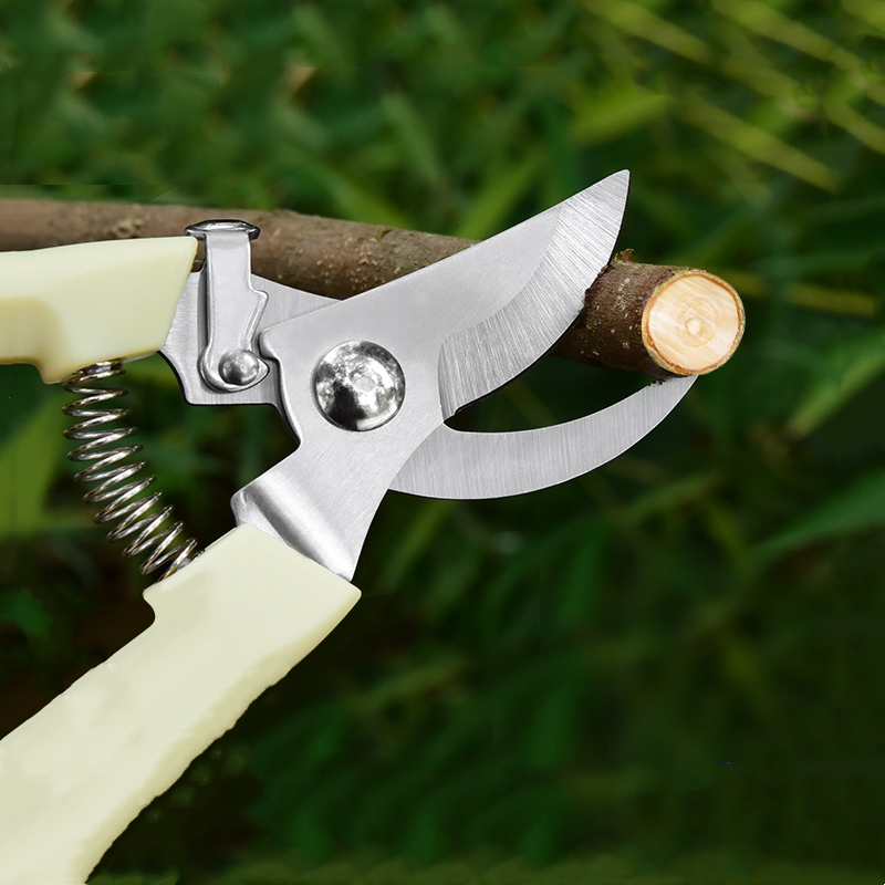 Pruner Orchard and The Garden  - مراجعة Gardening Tools Hand وسعره