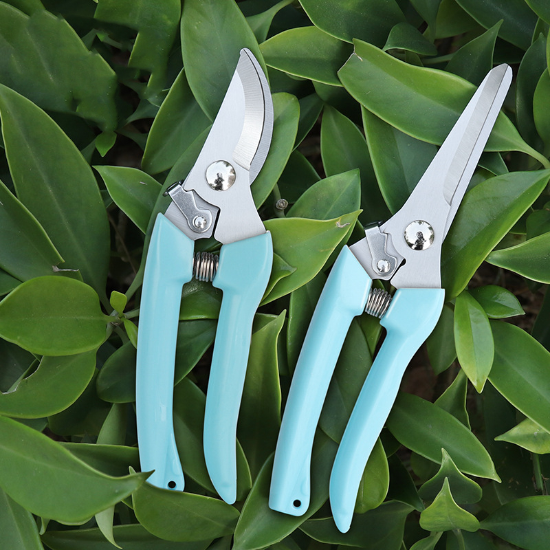 Pruner Orchard and The Garden  - مراجعة Gardening Tools Hand وسعره