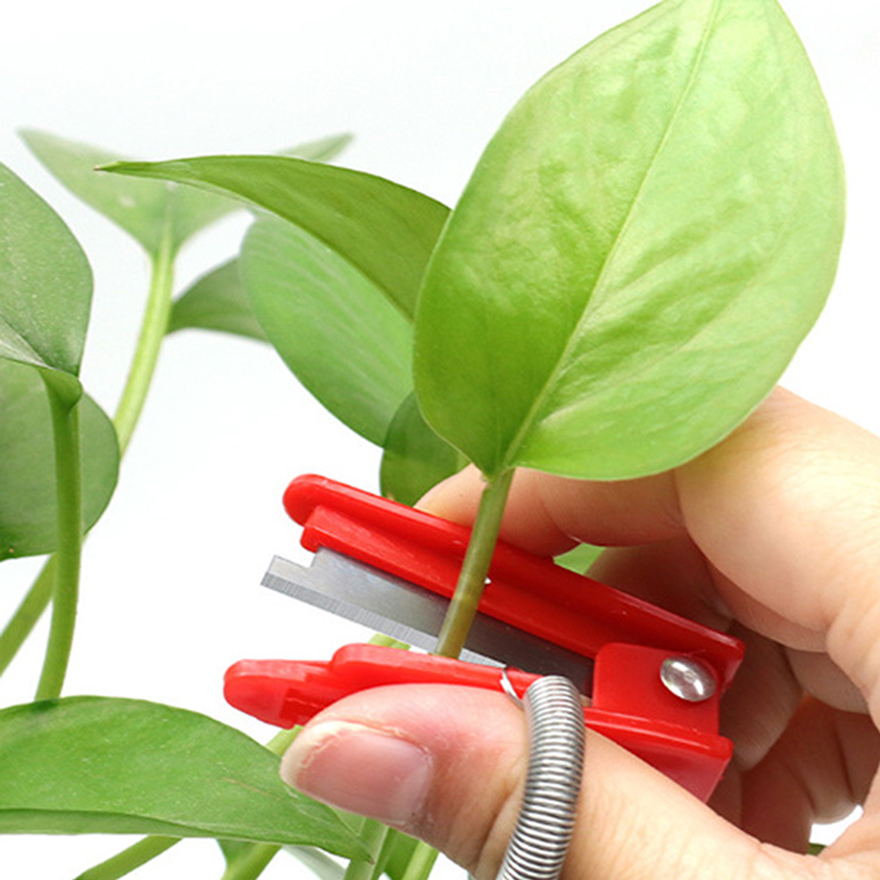 Fruit Vegetable Picking Tool;  - مراجعة Gardening Tools Knife وسعره