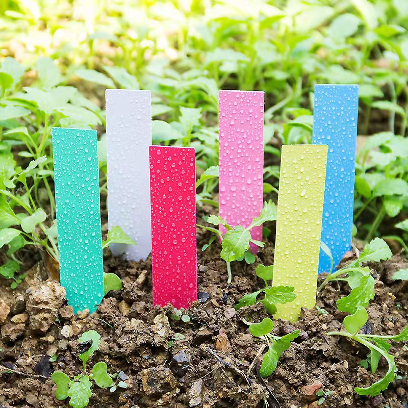 100Pcs Garden Plant Labels Pla - مراجعة Plant Label Tags وسعره