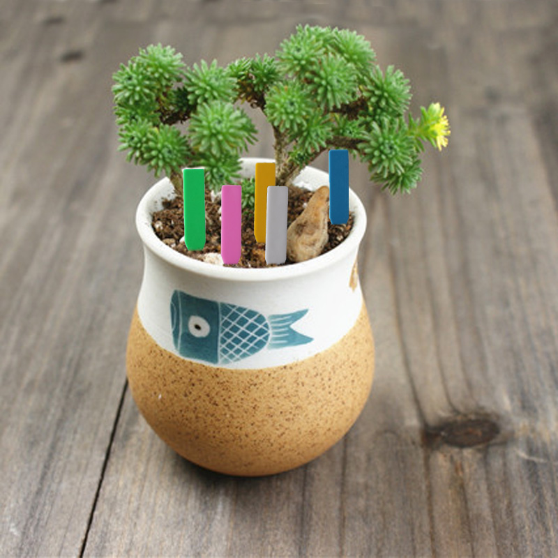 100Pcs Garden Plant Labels Pla - مراجعة Plant Label Tags وسعره