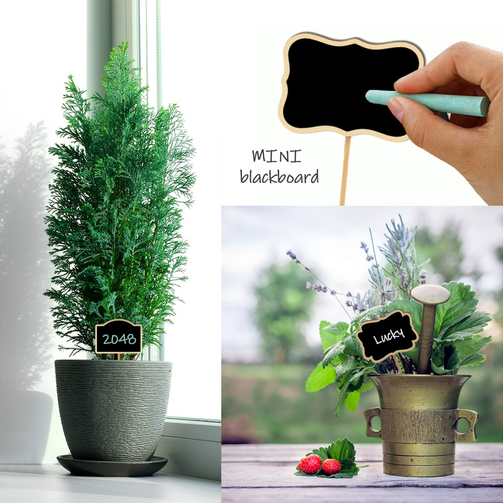 10PCS Wood Mini Chalkboard Sig - مراجعة Plant Label Tags وسعره