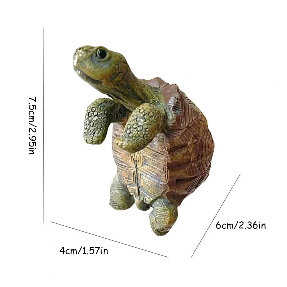Fishing Turtle Hanging Turtle  - مراجعة Aquaponics Fish Tank وسعره