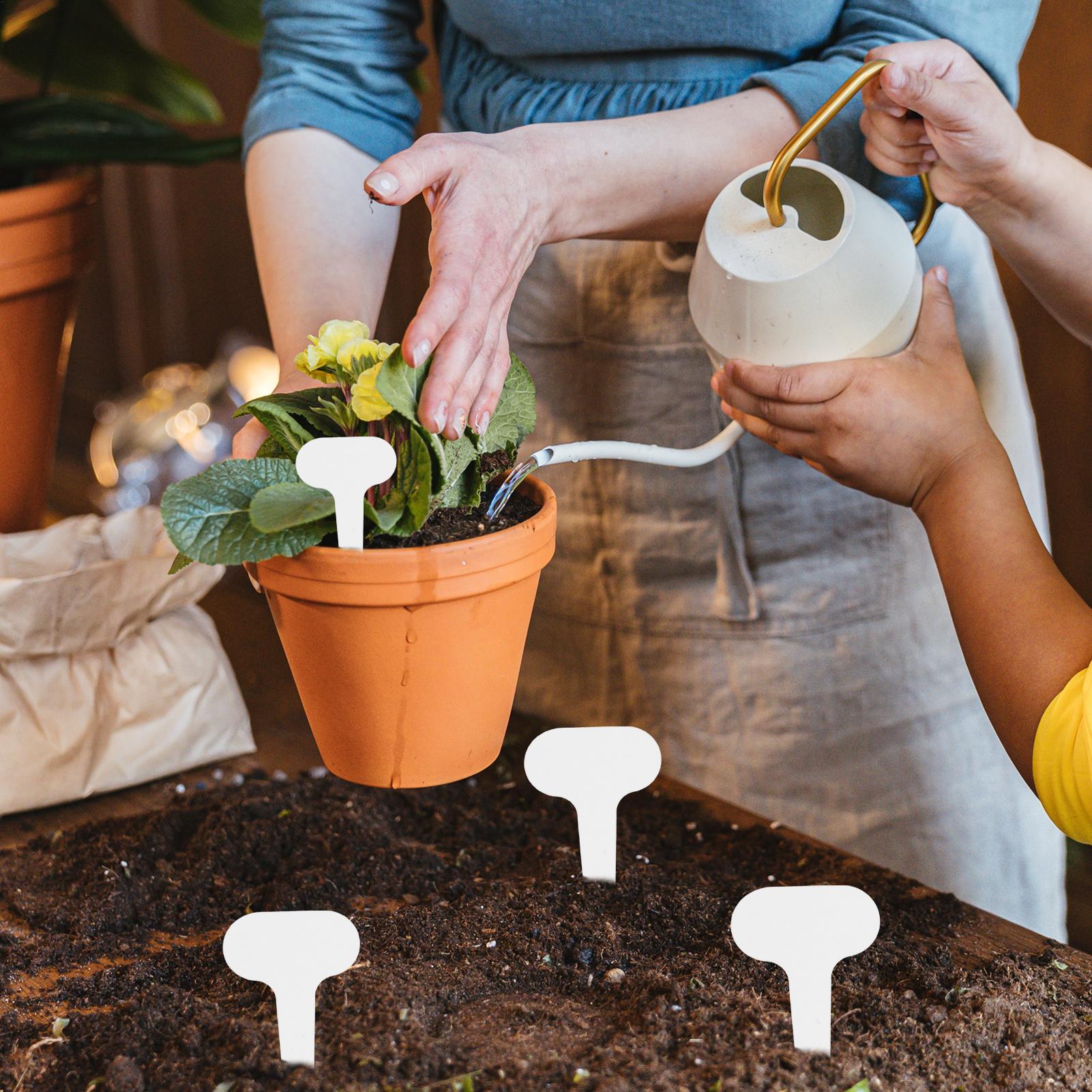 100 pieces White Plastic PVC P - مراجعة Plant Label Tags وسعره