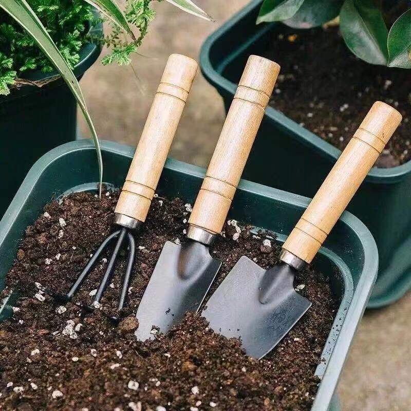 3PC/1Set  Mini Gardening Tools - مراجعة Gardening Tools For Digging وسعره