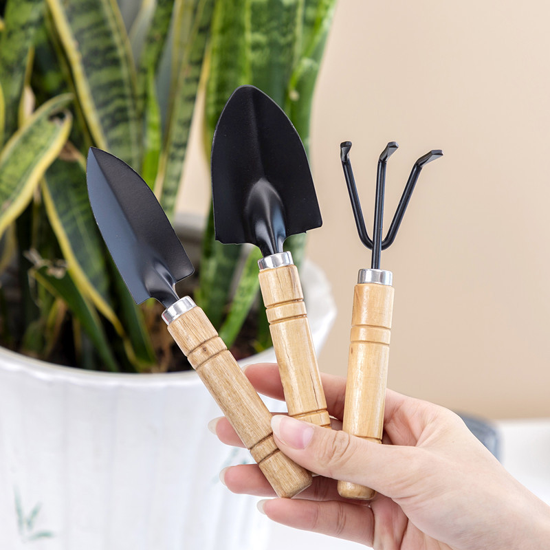 3PC/1Set  Mini Gardening Tools - مراجعة Gardening Tools For Digging وسعره