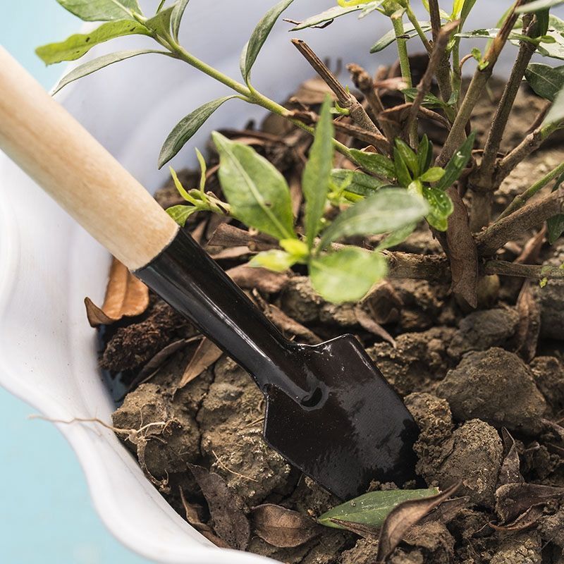 3PC/1Set  Mini Gardening Tools - مراجعة Gardening Tools For Digging وسعره