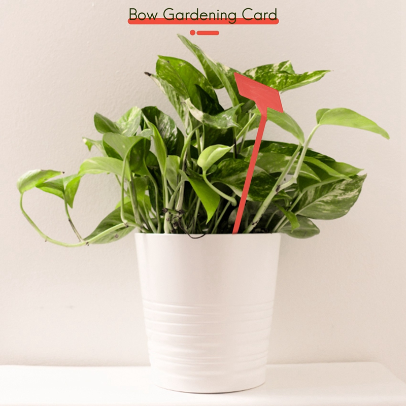 ABYP Gardens Planting Tools 50 - مراجعة Plant Label Tags وسعره