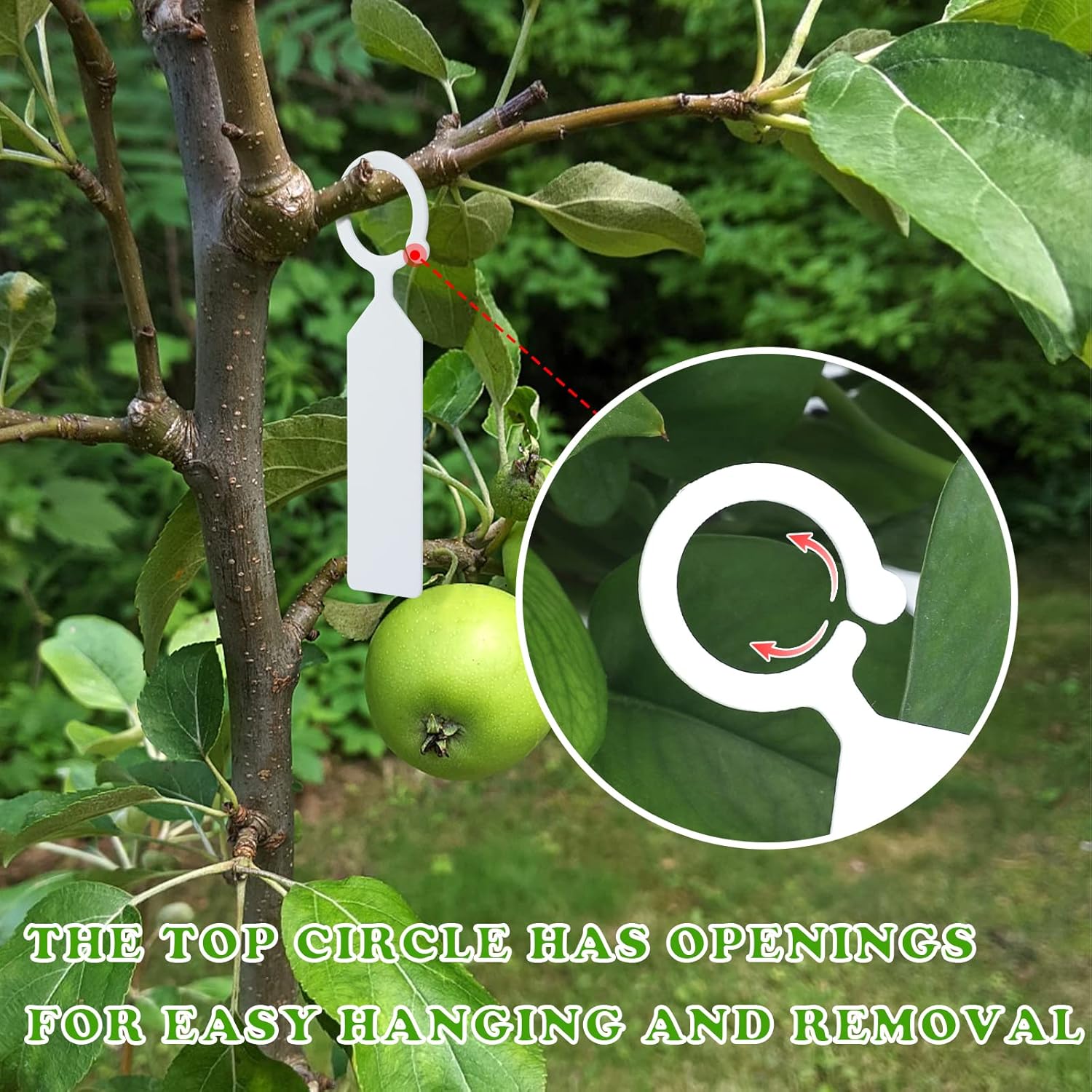100PCS 10.7x2.3CM Plastic Gard - مراجعة Plant Label Tags وسعره