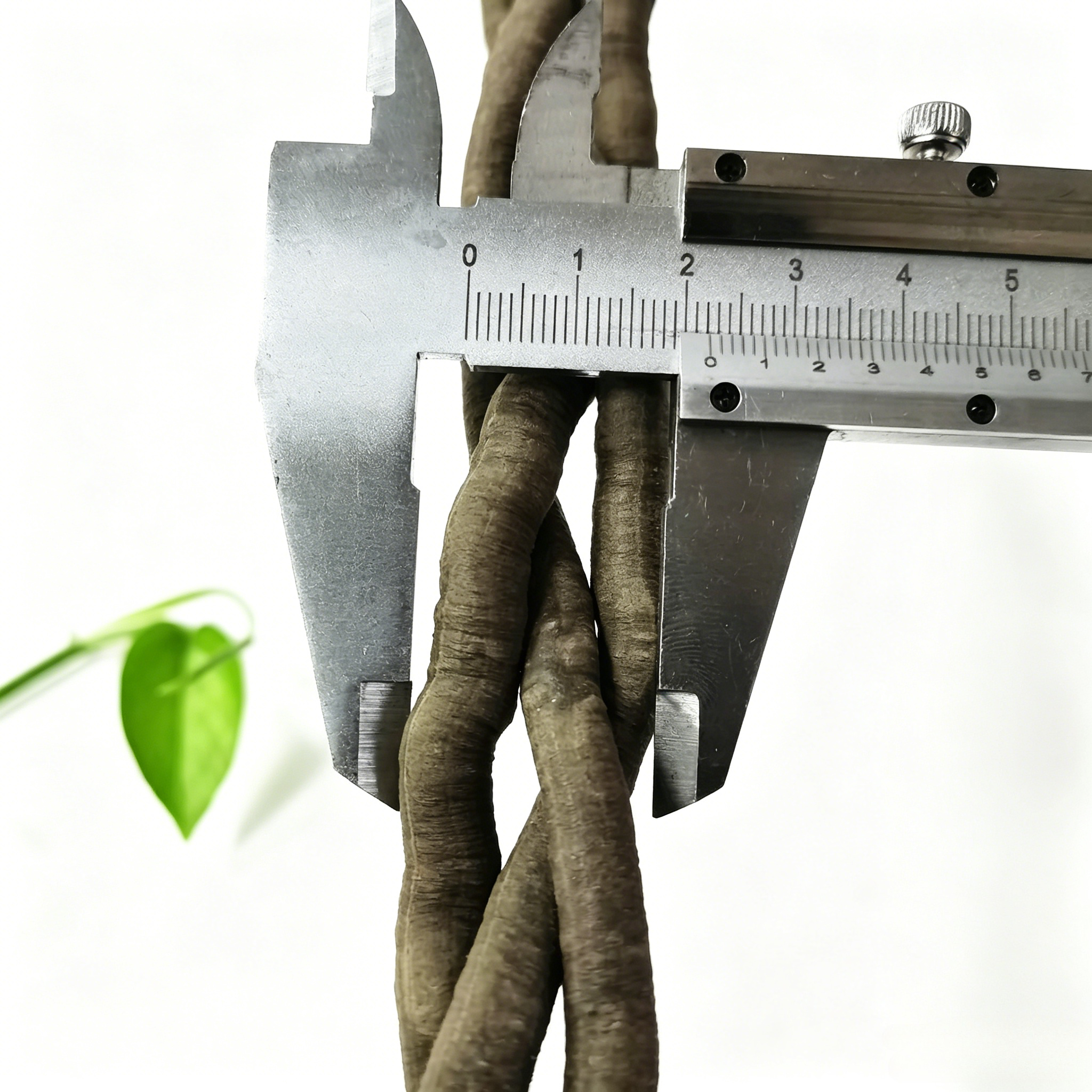 100cm Artificial Vine Fake Pla - مراجعة Aquaponics Fish Tank وسعره