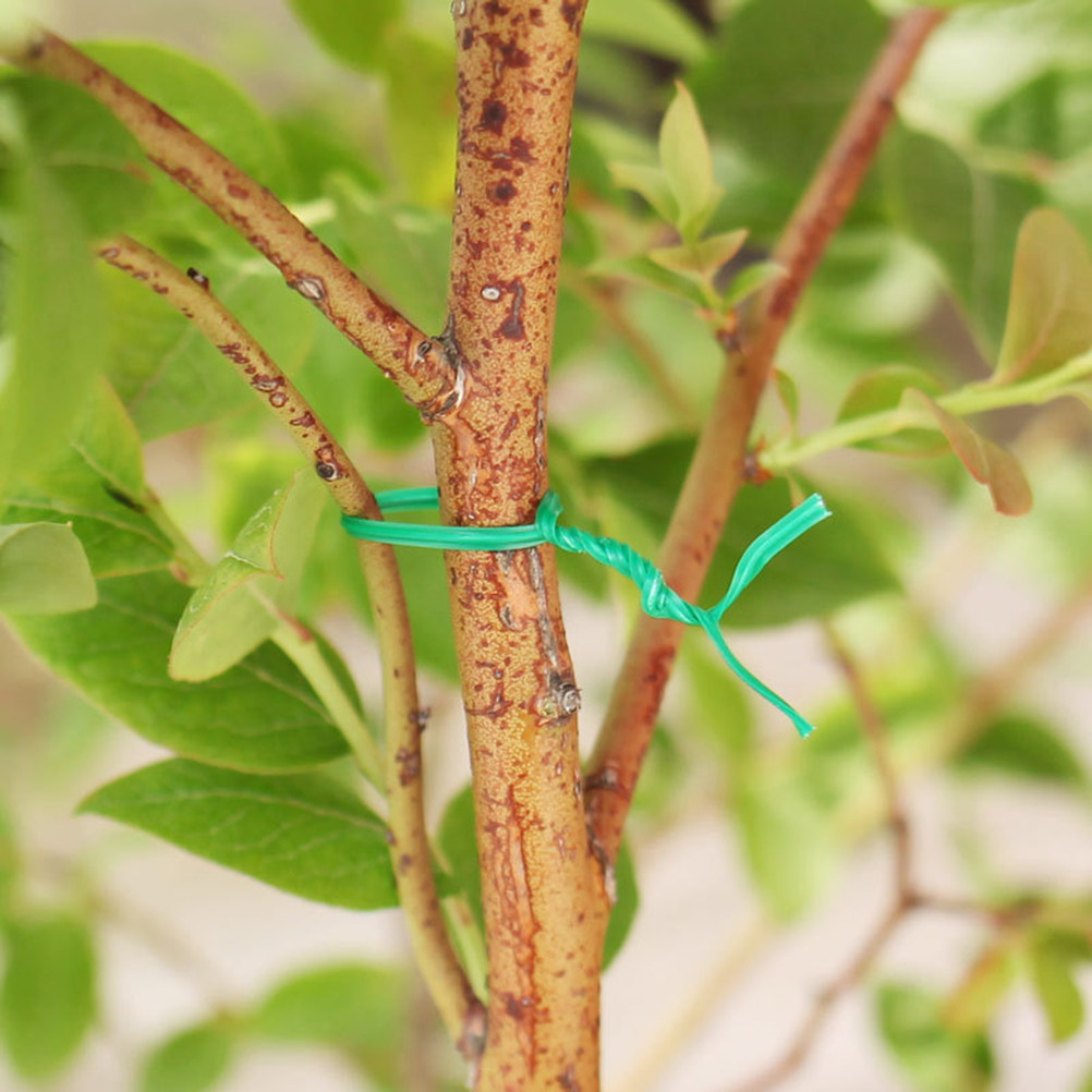2Pcs Plastic Coated Iron Wire  - مراجعة Garden Wire Twist Tie وسعره