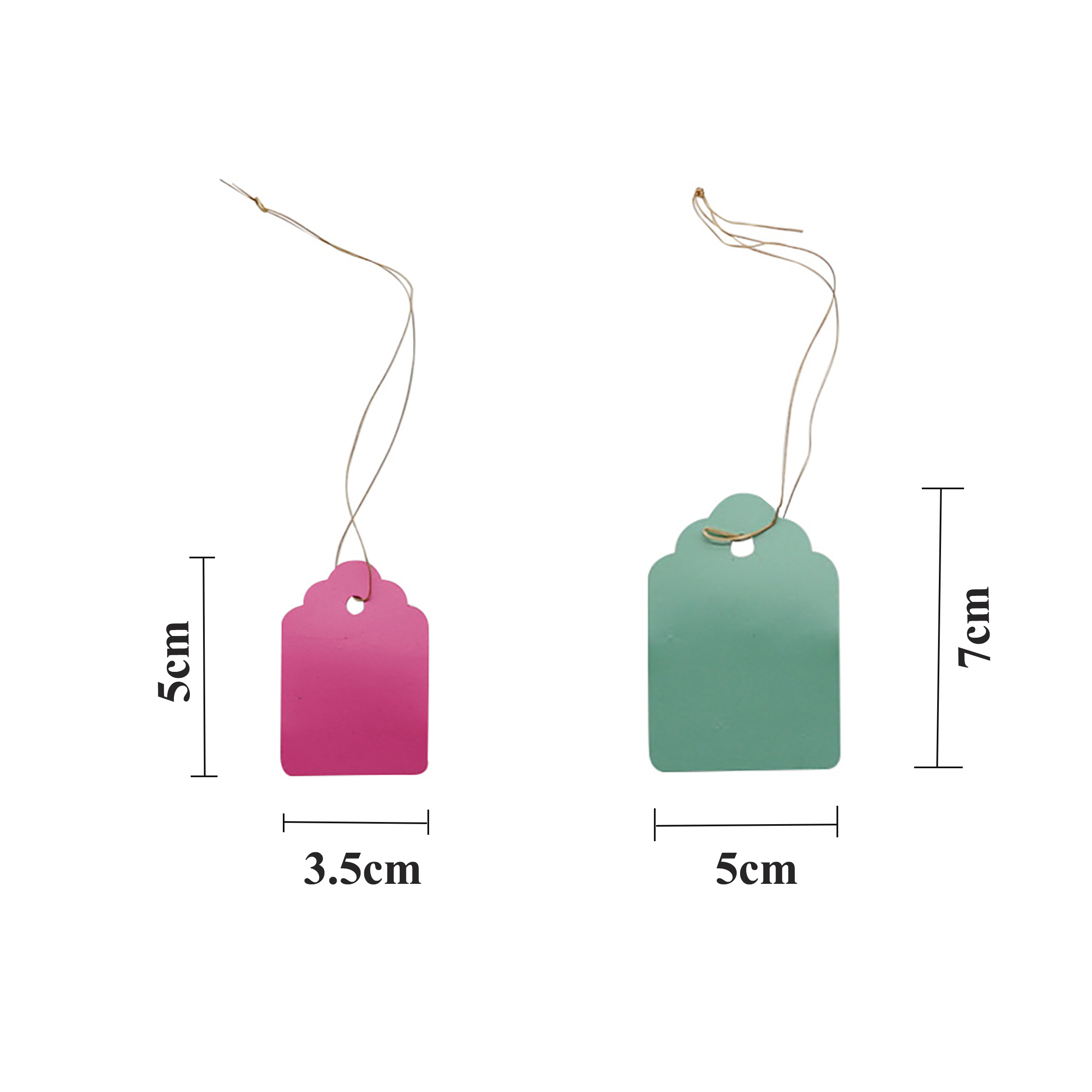 100Pcs/Lot Plants Hanging Plan - مراجعة Plant Label Tags وسعره