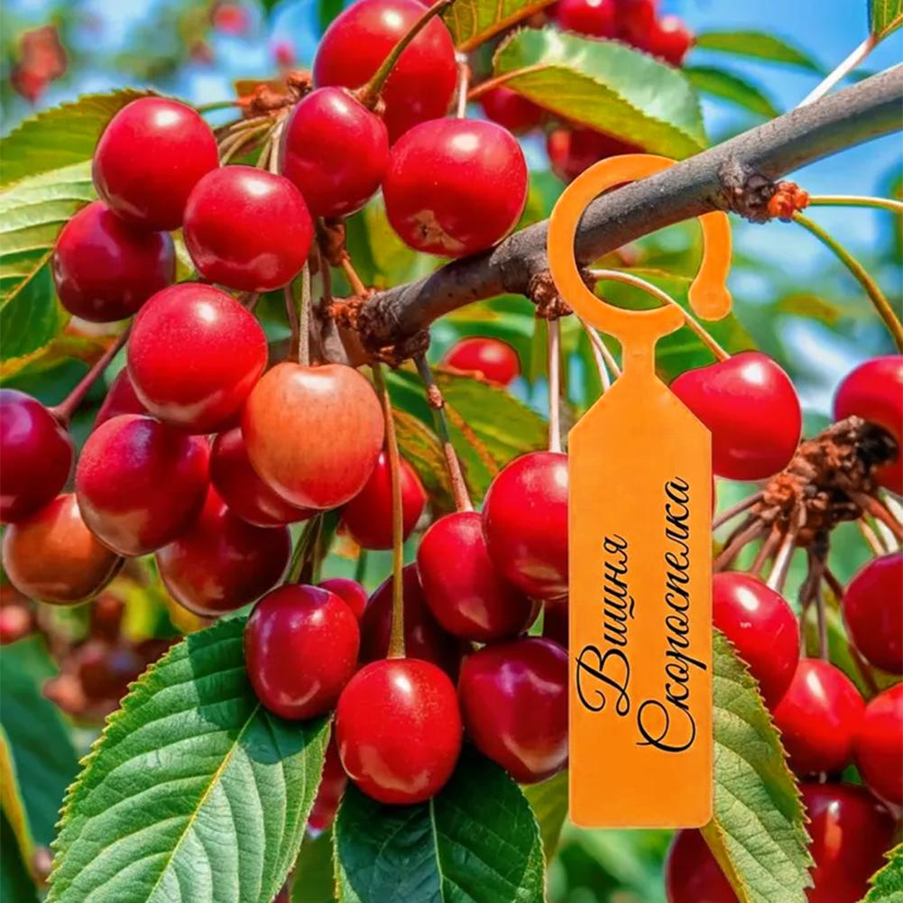 Garden Planting Tag Ring Hook  - مراجعة Plant Label Tags وسعره