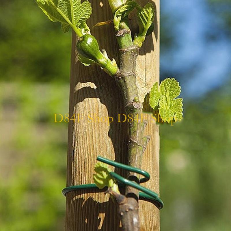 D84F Garden Wire Ties Plant Wi - مراجعة Garden Wire Twist Tie وسعره