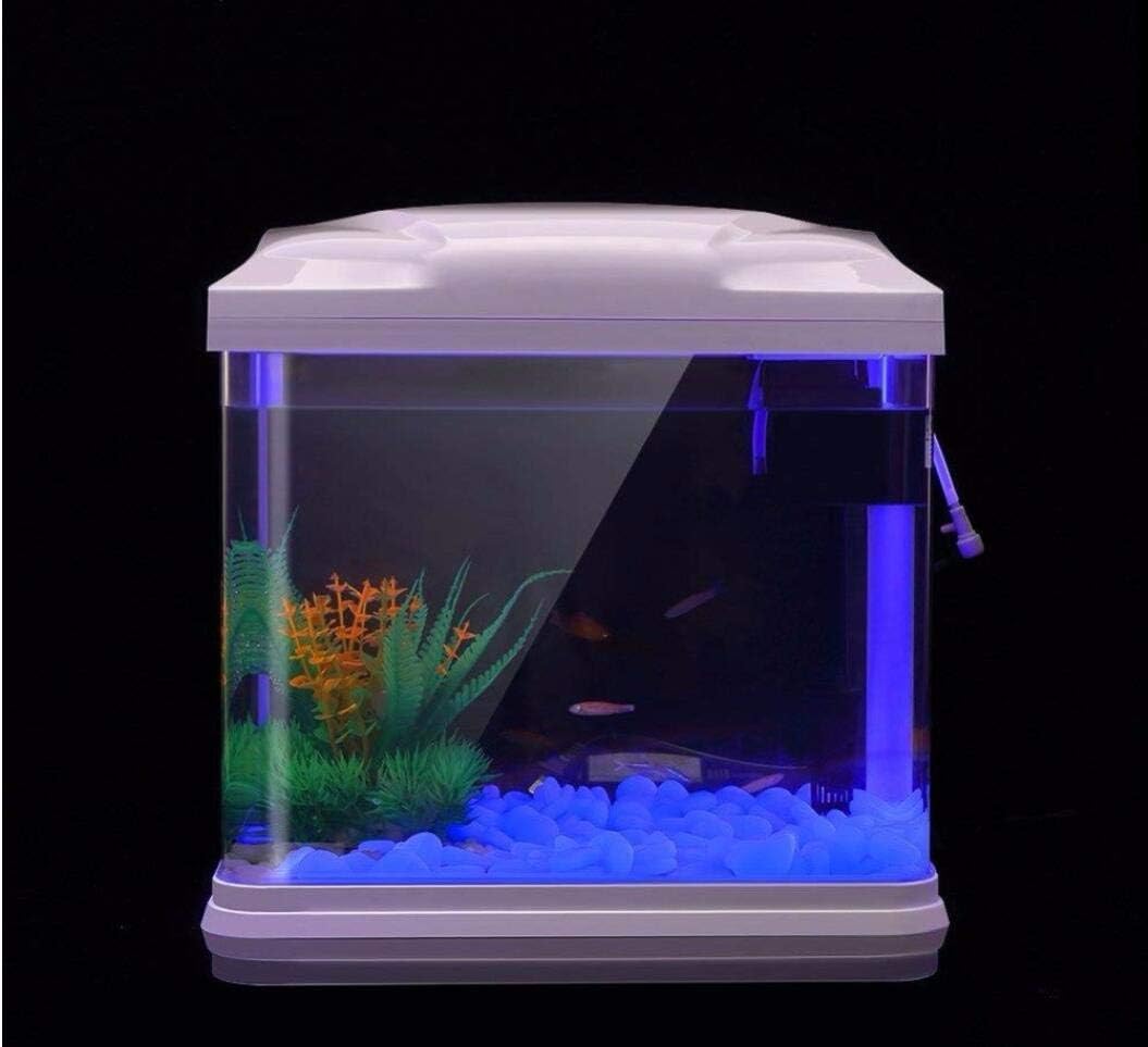 Fish Tank Rocks Glow Blue Pebb - مراجعة Aquaponics Fish Tank وسعره