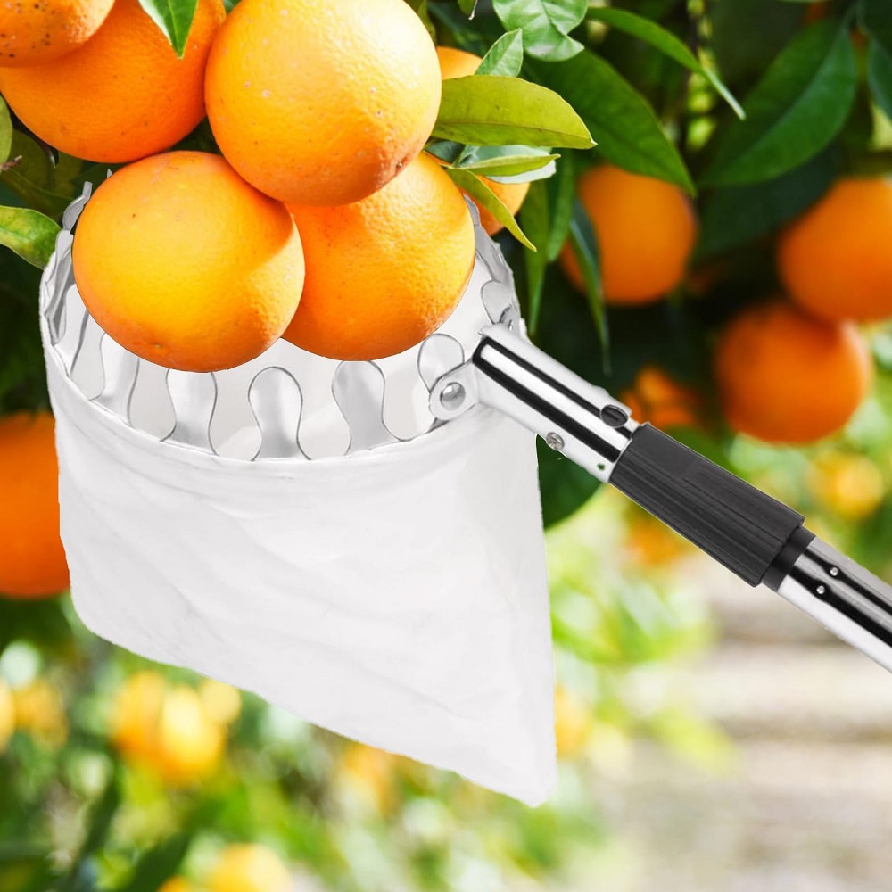 Fruit Picker Pole With Basket  - مراجعة Gardening Tools Basket وسعره