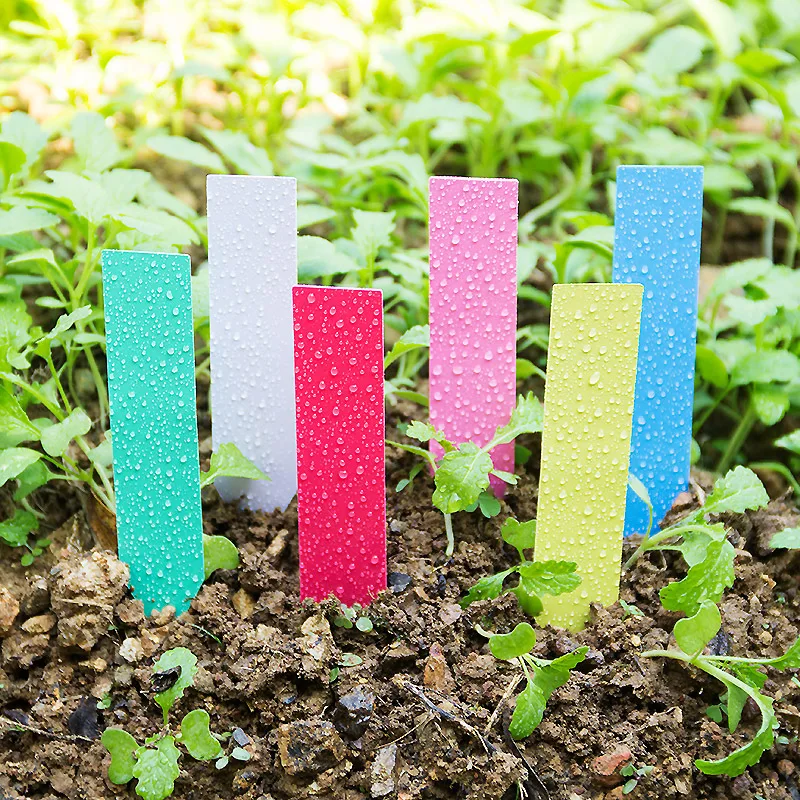 100pcs Thick 4inch Plant Label - مراجعة Plant Label Tags وسعره