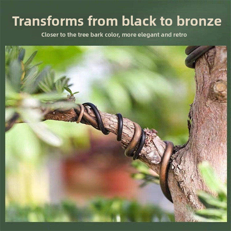 1.5MM Bonsai Wires Aluminum Bo - مراجعة Gardening Tool Diy وسعره