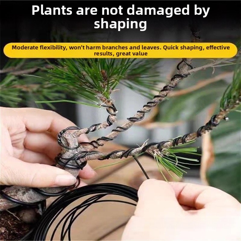 1.5MM Bonsai Wires Aluminum Bo - مراجعة Gardening Tool Diy وسعره
