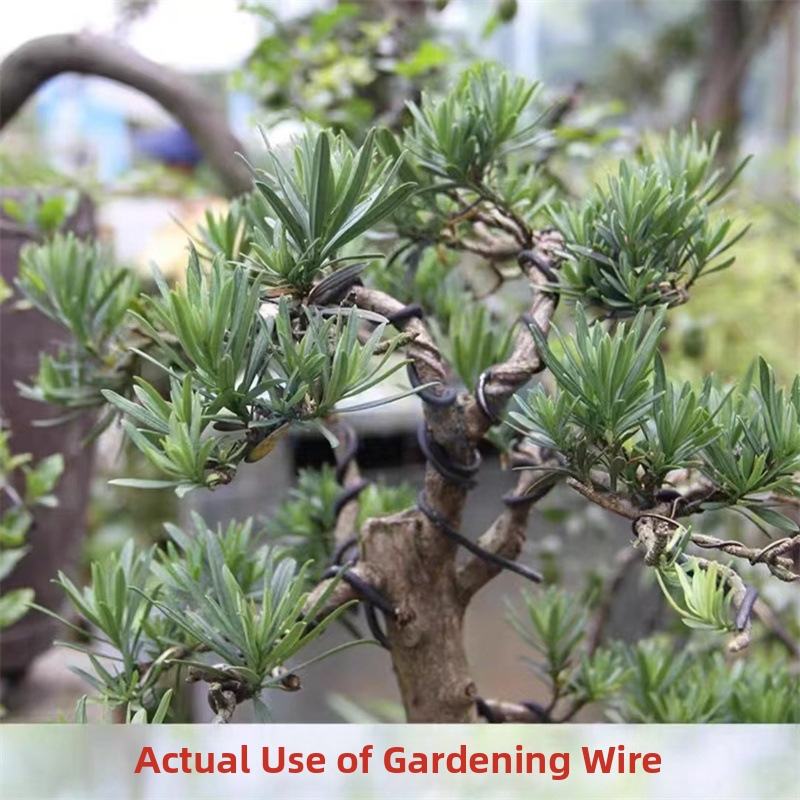 1.5MM Bonsai Wires Aluminum Bo - مراجعة Gardening Tool Diy وسعره