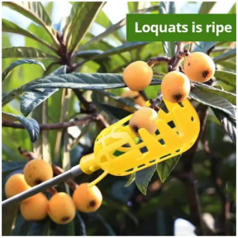 Farm Garden Picking Tools Frui - مراجعة Gardening Tools Basket وسعره