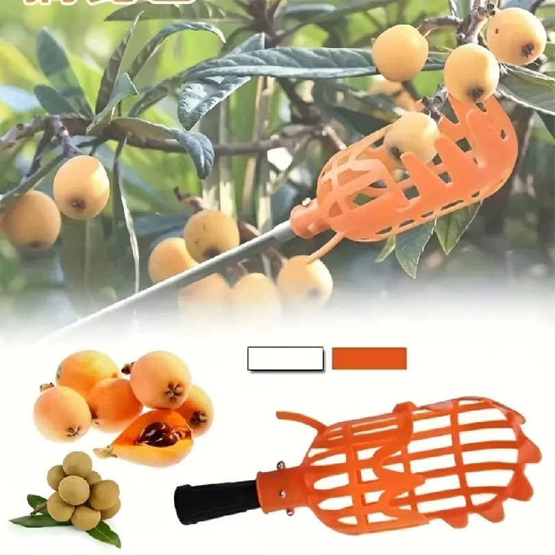 Farm Garden Picking Tools Frui - مراجعة Gardening Tools Basket وسعره